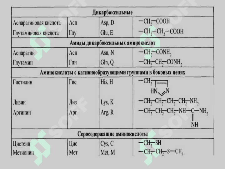 Aminokislotalar. Peptidlar va oqsillar | Аминокислоталар. Пептидлар ва оқсиллар 7