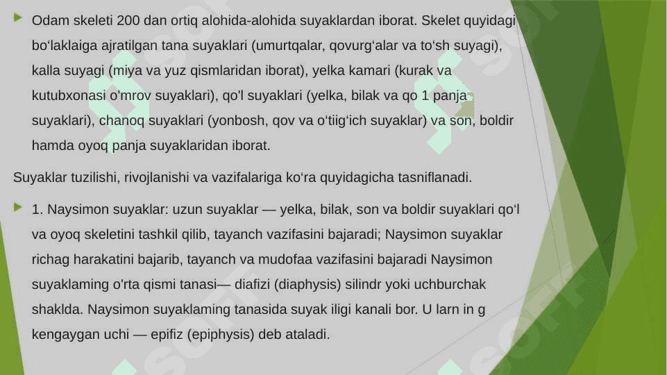 Suyaklar 5