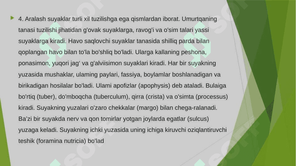 Suyaklar 8