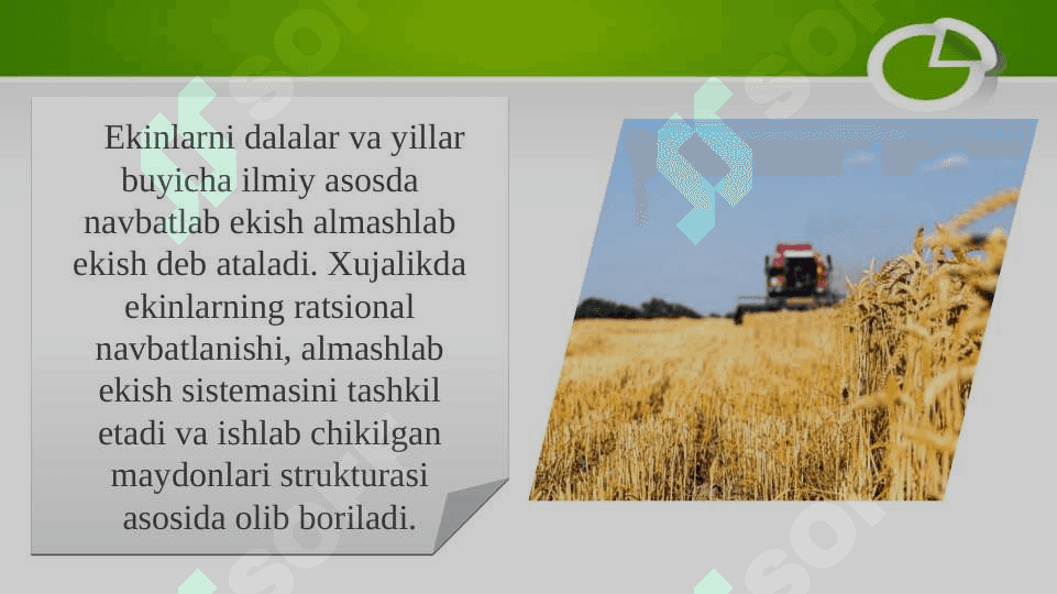 Bug’doy – G’o’za  almashlab ekish  tizimi 4