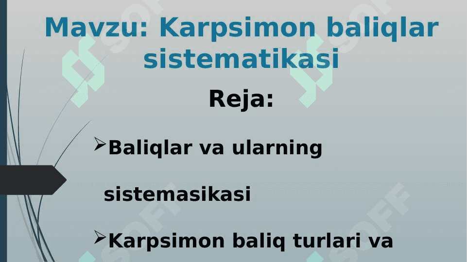 Karpsimon baliqlar sistematikasi 2