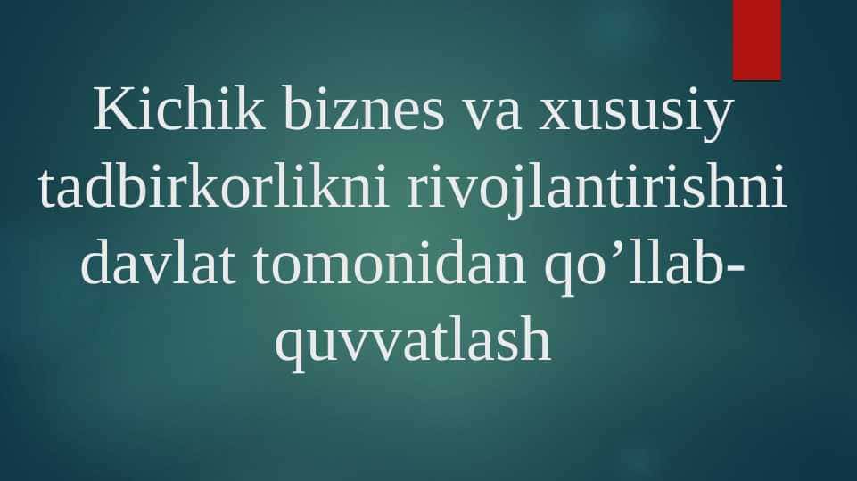 Kichik biznes va xususiy tadbirkorlikni rivojlantirishni davlat tomonidan qo’llab-quvvatlash