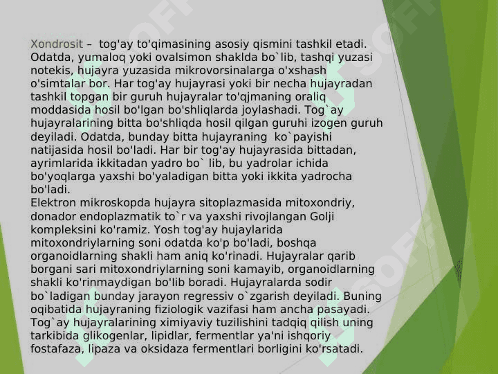 Tog’ay va suyak to’qimasi 5