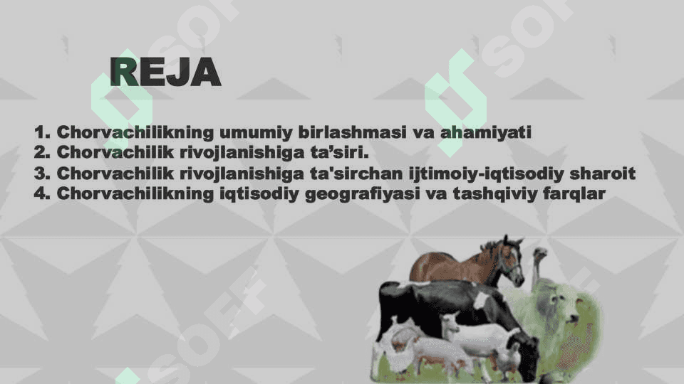 Jahon chorvachilik rivojlanishi geografiyasi 2