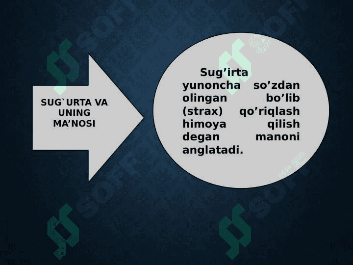 Sug`urta 3