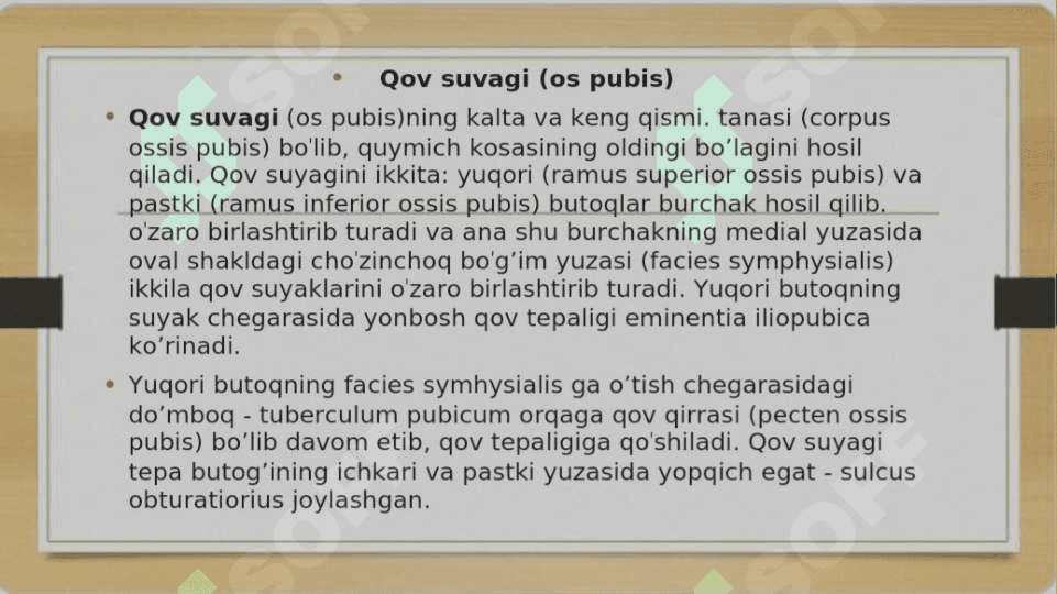 Chanoq va oyoq suyaklarining yoshga nisbatan xususiyatlari.Sport va mehnat faoliyatini chanoq va oyoq suyaklarigata'siri, rivojlanish nuqsonlari Kalla suyaklariningrentgenanatomiyasi 7