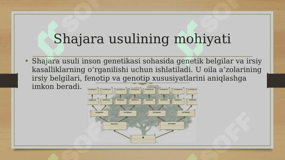Antropogenetika usullari: shajara usuli 3