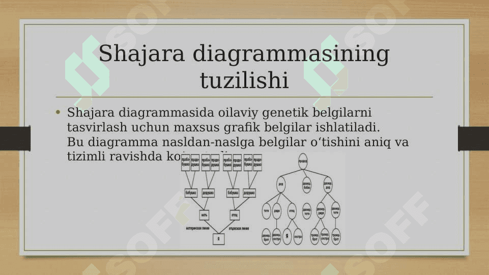 Antropogenetika usullari: shajara usuli 6