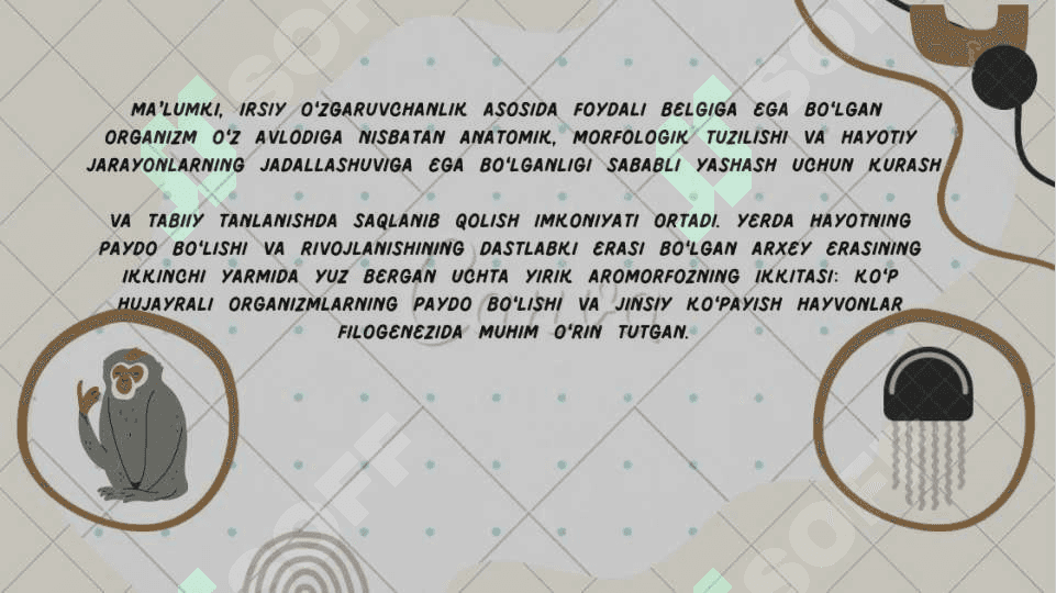 Hayvonot dunyosi evolyutsiyasi 3