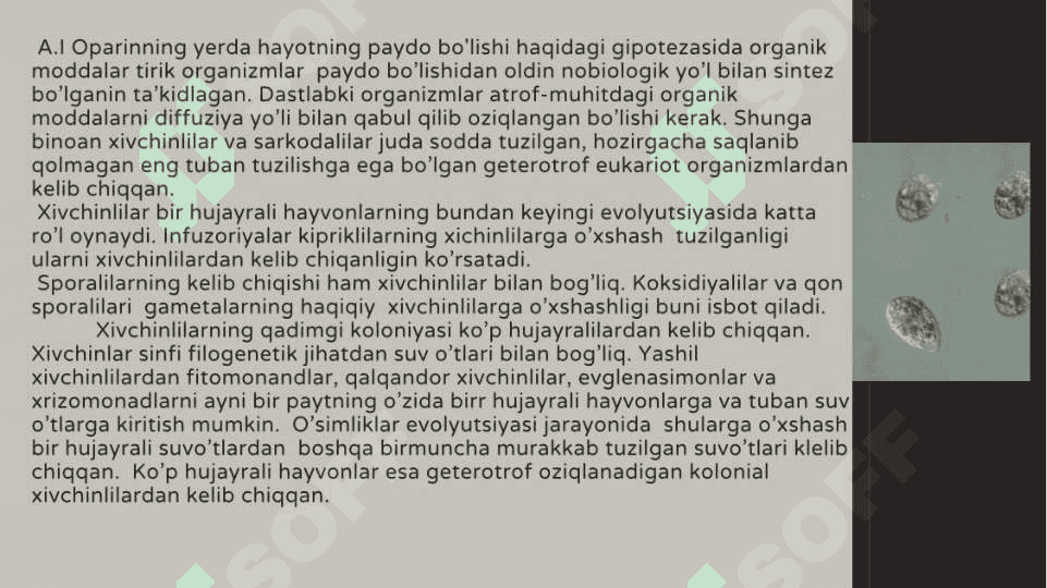 Hayvonot dunyosi evolyutsiyasi 5