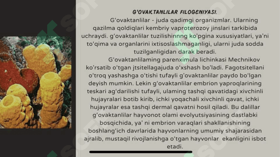 Hayvonot dunyosi evolyutsiyasi 6