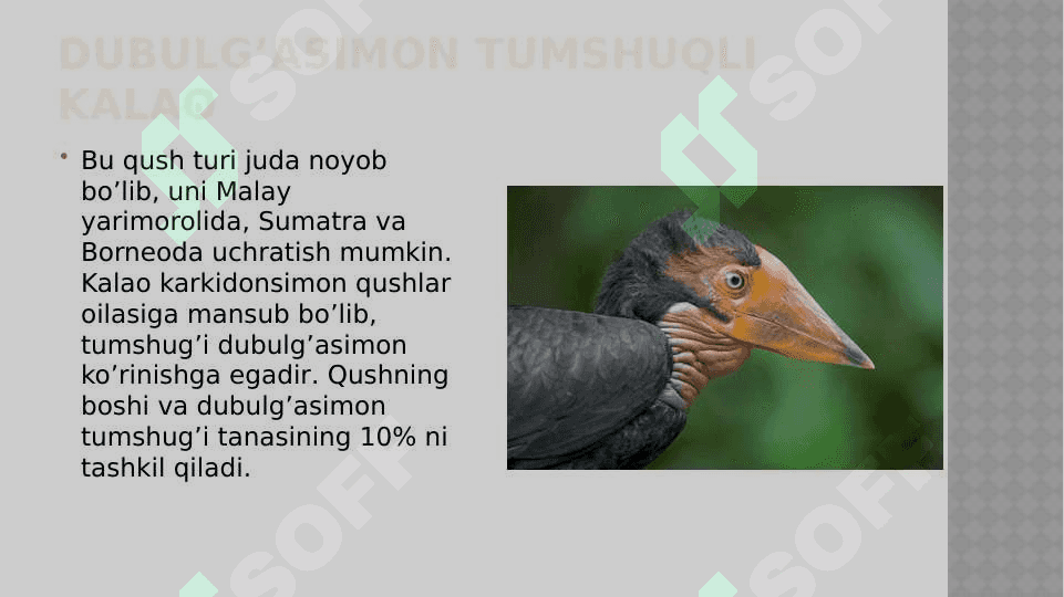 Noyob va  soni kamayib borayotgan qushlar, ularni muhofaza qilish 8