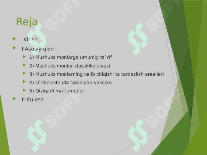 Mushuksimonlarga umumiy ta'rif 2