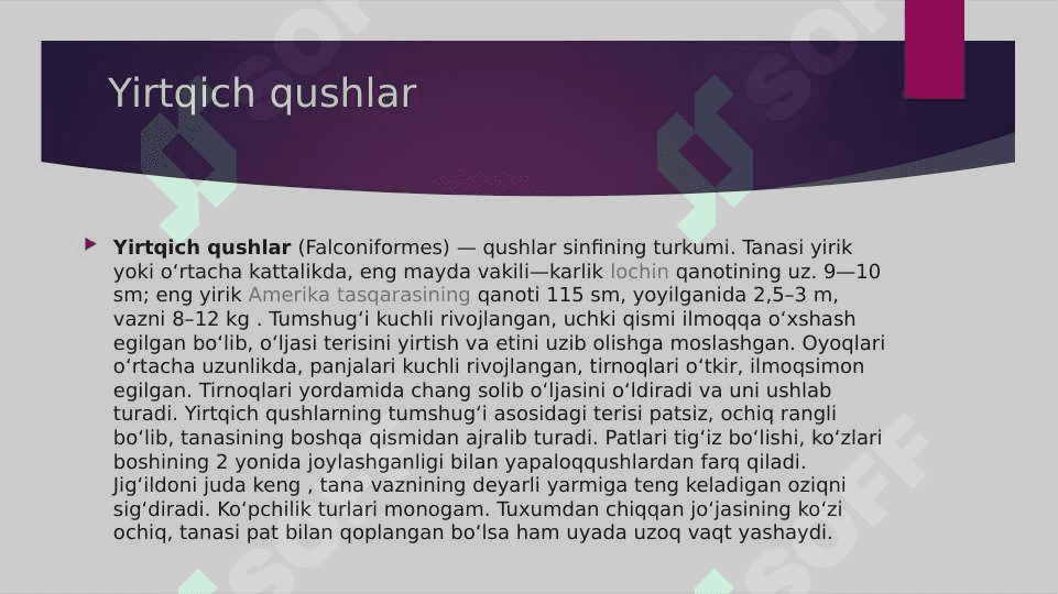 YIRTQICH QUSHLAR 2