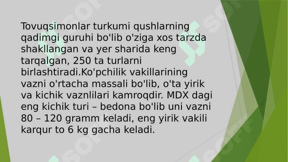 Tovuqsimonlar,asosiy turlarining hayoti. 2