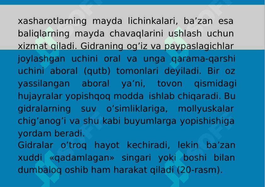 5-Mavzu: Eumetozoa. Bo‘shliqichlilar (Cnidaria) tipi. 5
