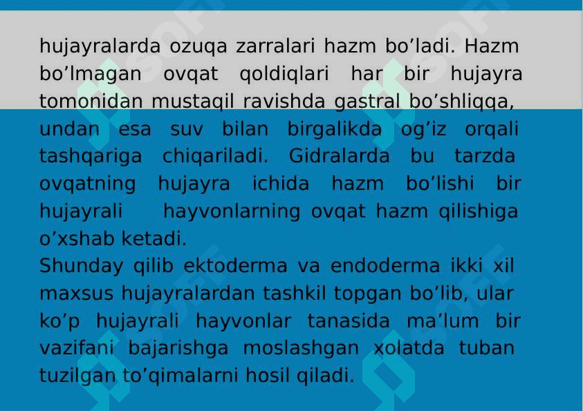 5-Mavzu: Eumetozoa. Bo‘shliqichlilar (Cnidaria) tipi. 8