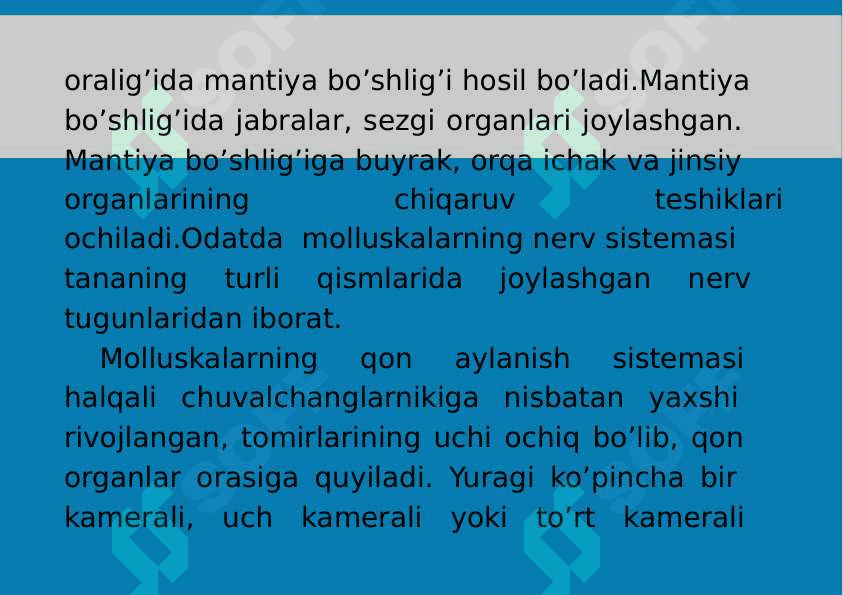 7-Mavzu: Mollyuskalar (Mollusca)tipi. 3