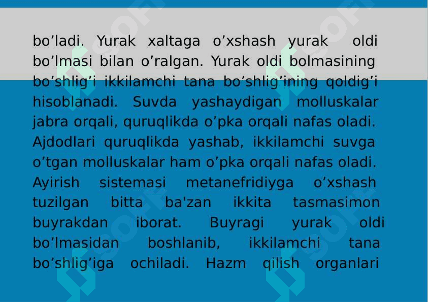 7-Mavzu: Mollyuskalar (Mollusca)tipi. 4