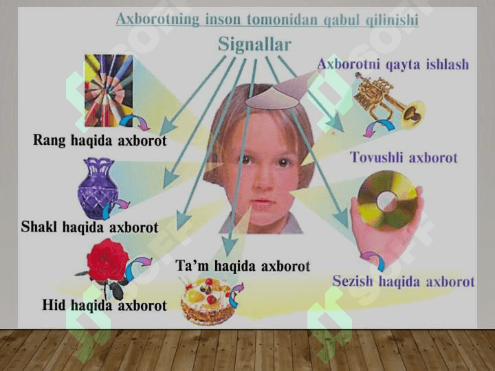 Ma'lumotlar va axborot. Ma'lumot turlari. Miqdor va sifat ma'lumotlari. Boshlangʻich ma'lumotlar 3