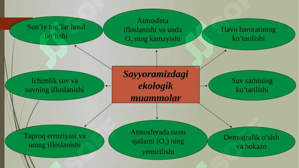 Ekologik muammolar 8