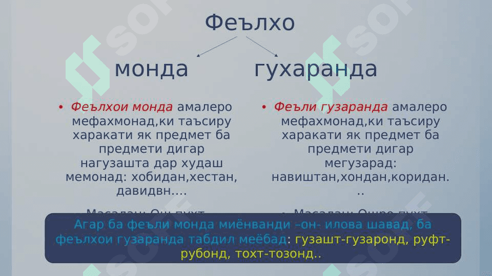 ФЕЪЛҲОИ МОДА ВА ГУЗАРАНДА 2