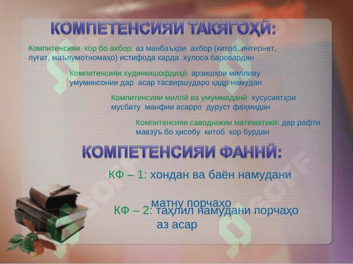 Салайд Бустон 4