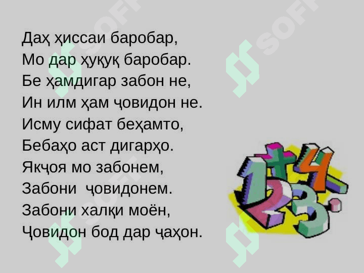 Шумора 4