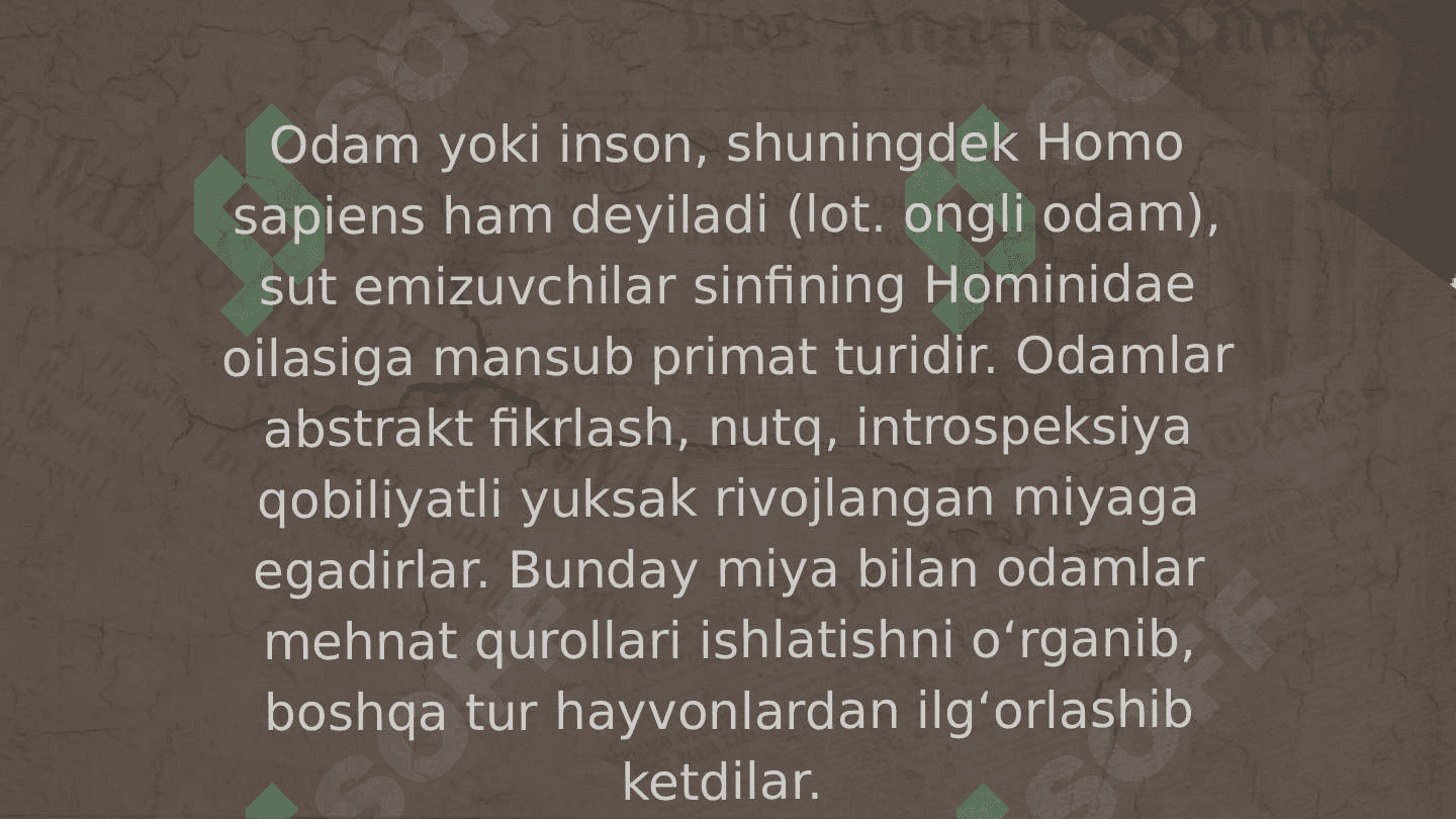 Zamonaviy odamning paydo boʻlishi va rivojlanishi 3