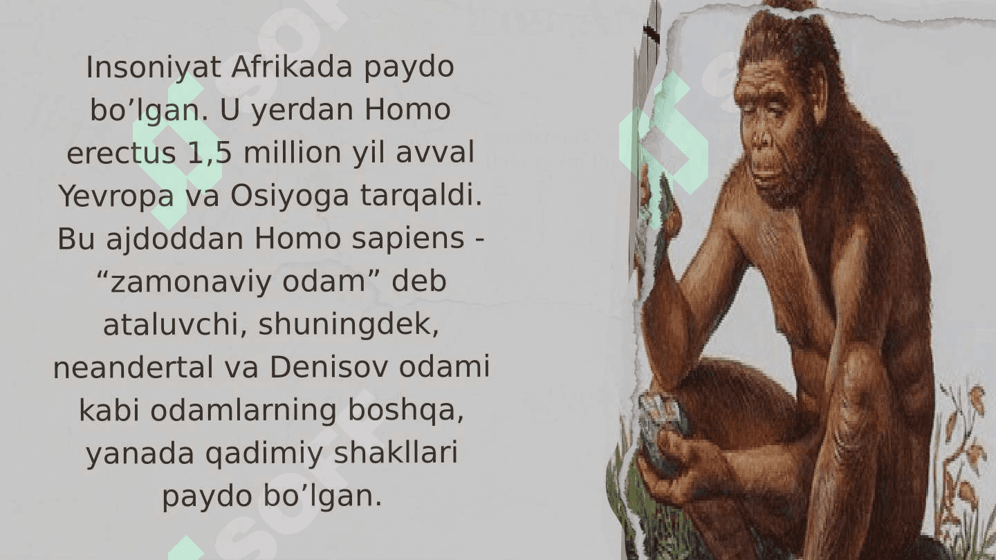 Zamonaviy odamning paydo boʻlishi va rivojlanishi 6