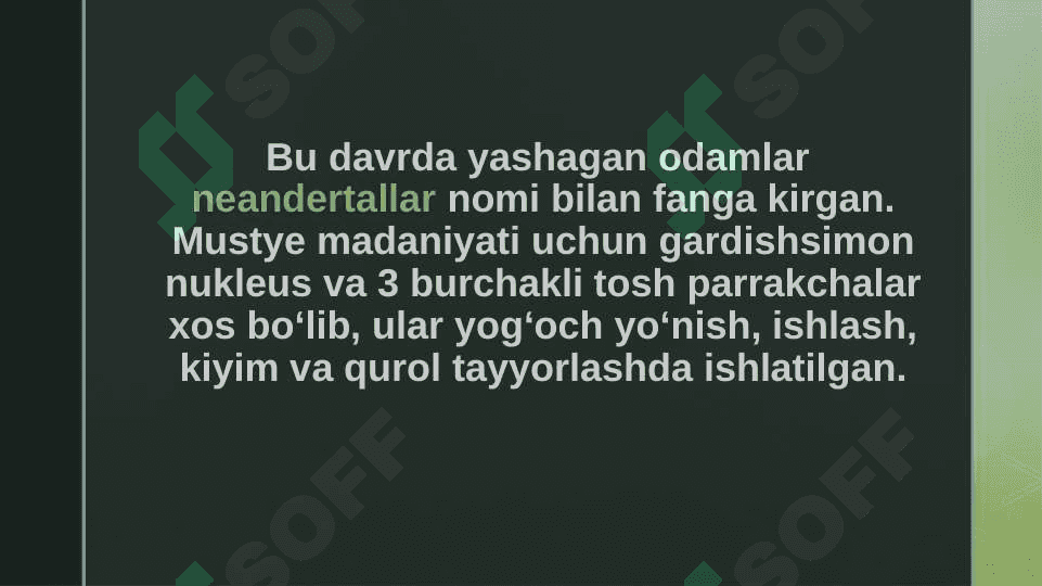 Mustye davri madaniyati 4