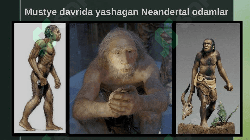 Mustye davri madaniyati 5