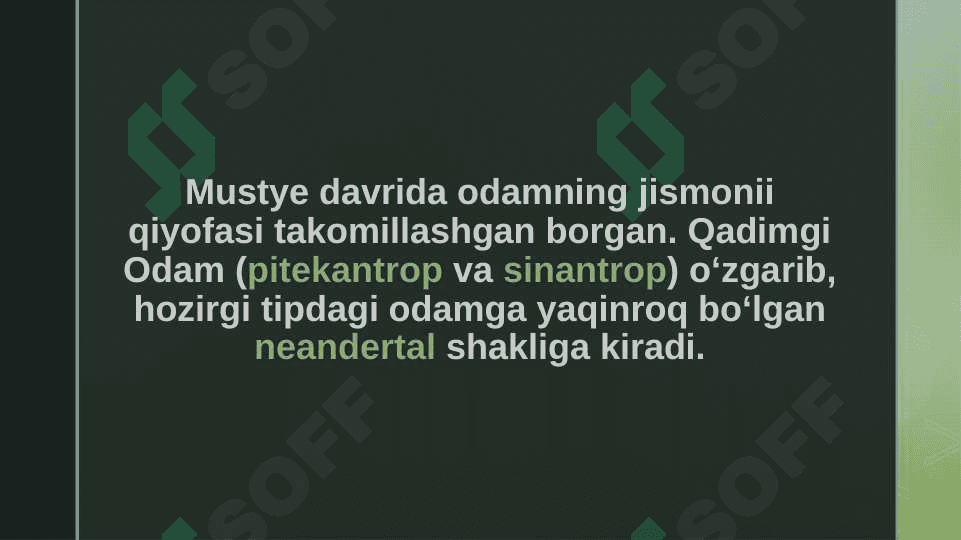 Mustye davri madaniyati 8