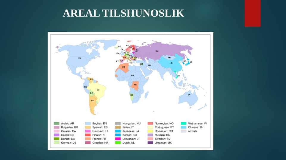 AREAL TILSHUNOSLIK 1
