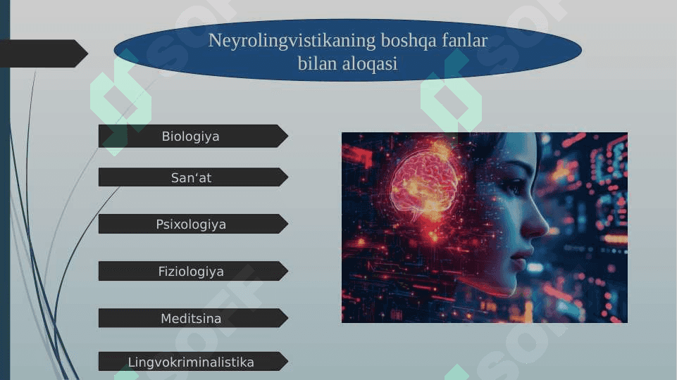 Neyrolingvistika 7