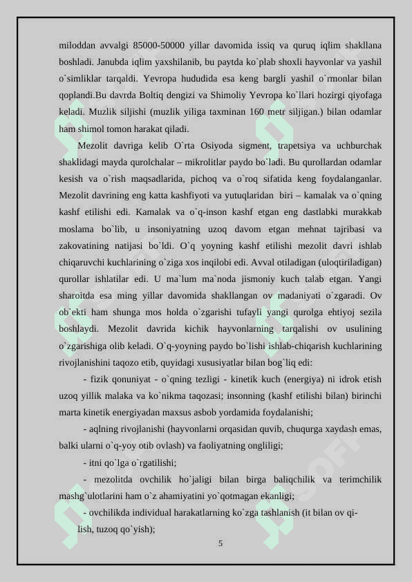 Mezolit davri 4