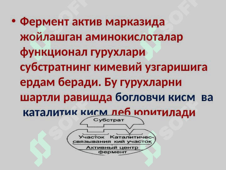Fermentlar aktivligining boshqarilishi 3