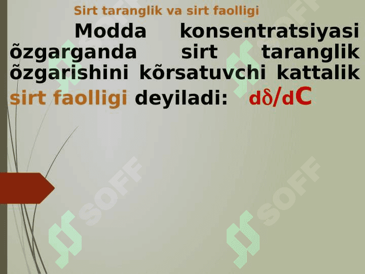 Sirt hodisalari. Adsorbsiya 7