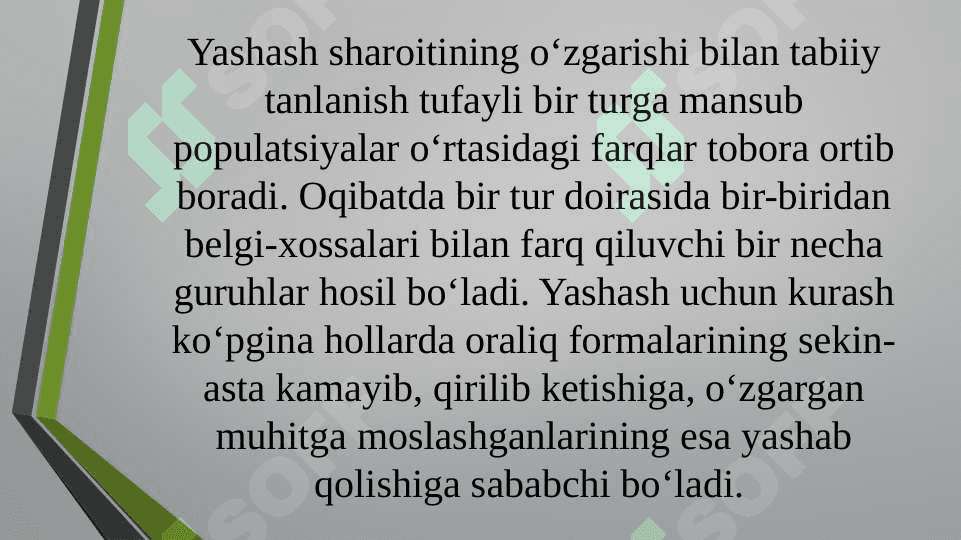 Turlarning paydo bo`lishi 6