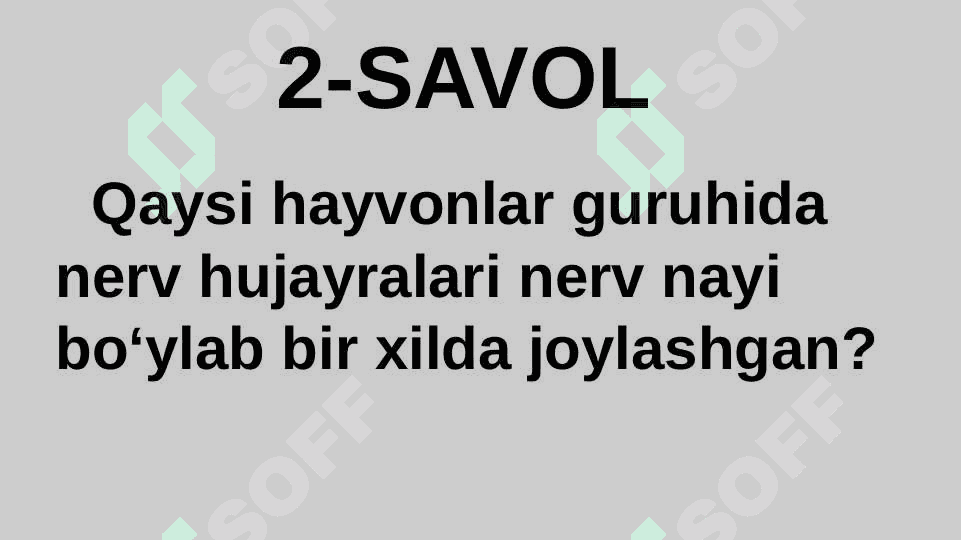 HAYVONLARNING TANA QOPLAMLARI VA HARAKAT ORGANLARI EVOLUTSIYASI 4