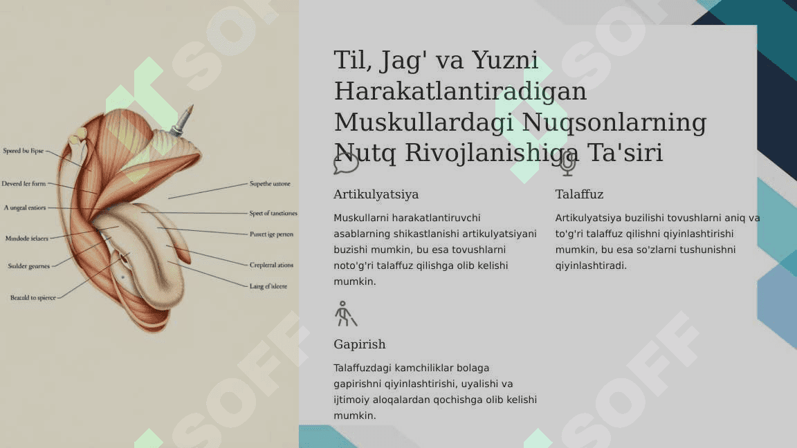 Tayanch harakat apparatining buzilishlari qibatidagi nutq rivojlanishini tashxislash 4