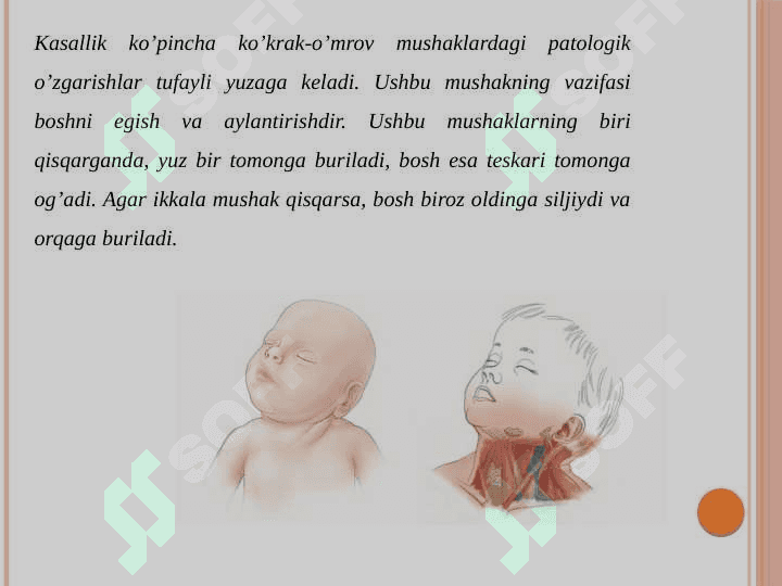 Bo’yin qiyshiqligida  bajariladigan operatsiyalar 3
