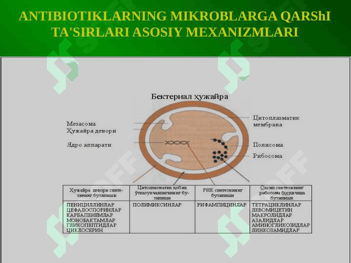 Turli kimyoviy tuzilishga ega bolgan     sintetik antibakterial vositalar 6