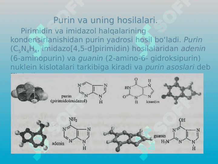 Purin slayd 5