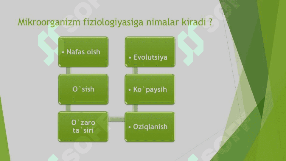 Mikroorganizmlar fiziologiyasi 2