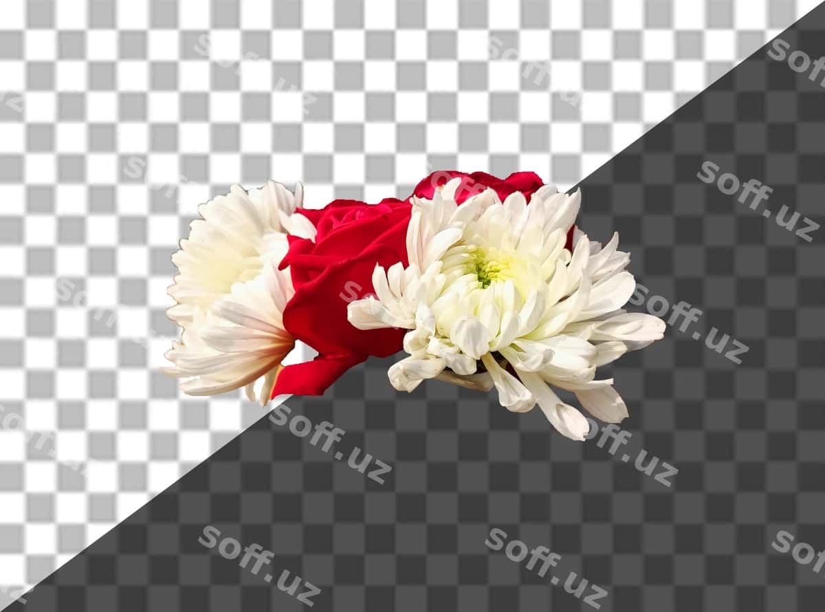 Gul qora oq fondaa | Flower black white background 1