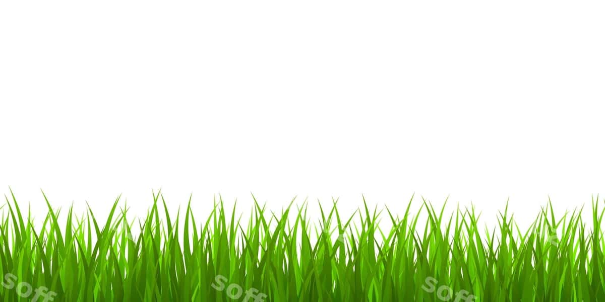 Yangi yashil chaman chegara | Fresh green grass border 1