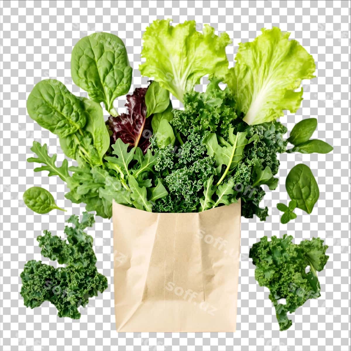 Yangi yaproqli sabzilar qog'oz tori qutisi | Fresh leafy greens paper bag 1