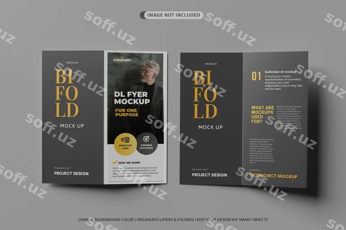 Old-orqa dl ikkalik realistik namuna | Front back dl bifold realistic mockup 1