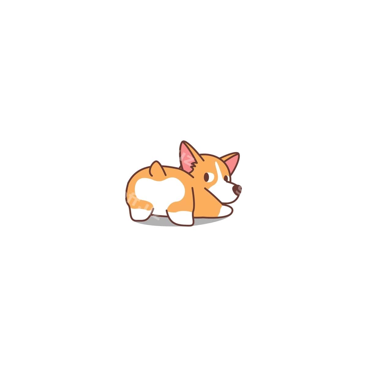 Gulsum Uelsh korgi it orqaga qarayotgan | Funny welsh corgi dog looking back 1